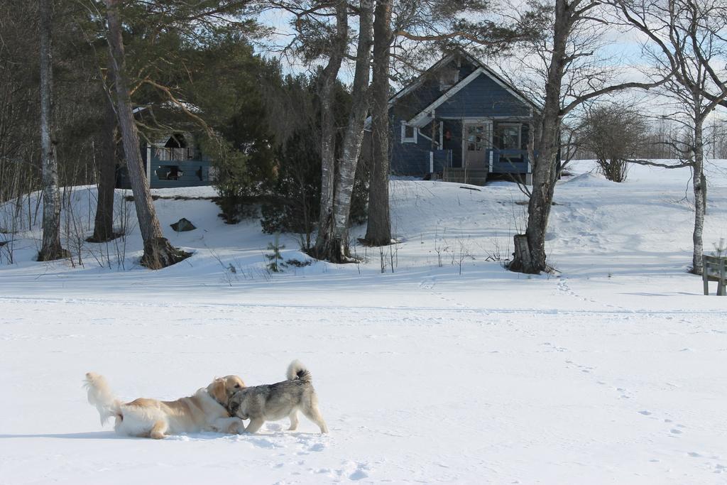 Antintuvan Lomamokit Kauhava Ruang foto